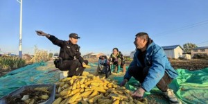 田间地头话平安 普法宣传进村入户