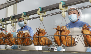 德州扒鸡哪家正宗？凤起牌扒鸡三十年传承技艺成行业新宠